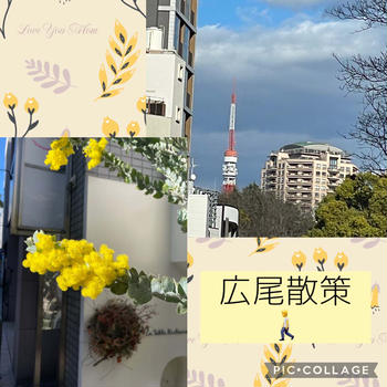 広尾散策～東京タワーとミモザの花