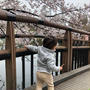 桜とボートと井の頭公園で物思いにふける1歳4か月の彼☆ボクお兄ちゃんになるみたいです