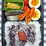 主人のお弁当４日分
