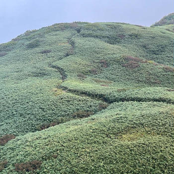 女神さまに会える山、雨飾山2024.9