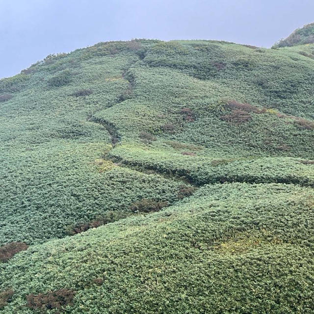 女神さまに会える山、雨飾山2024.9