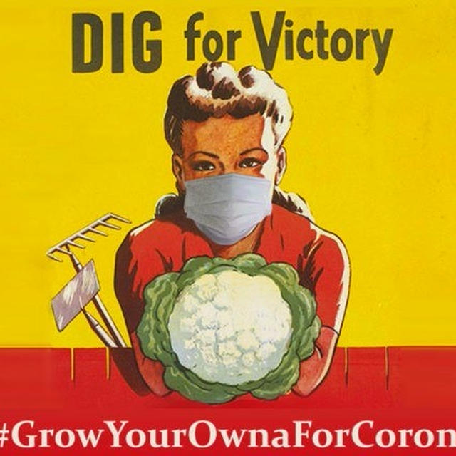 コロナという戦禍で世界中の人々は食料を作り始めた　Digforvictory #勝つために掘れ