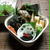 釣りたてピチピチ＾＾イサキのソテー（simple）のお弁当