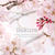 2017 桜