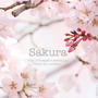2017 桜