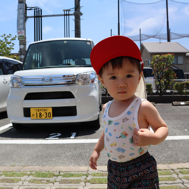 夏の日差し