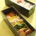 てっぱくへ＆今日のお弁当 by 薬膳料理研究家＊フードコーディネーター　神田　美紀さん