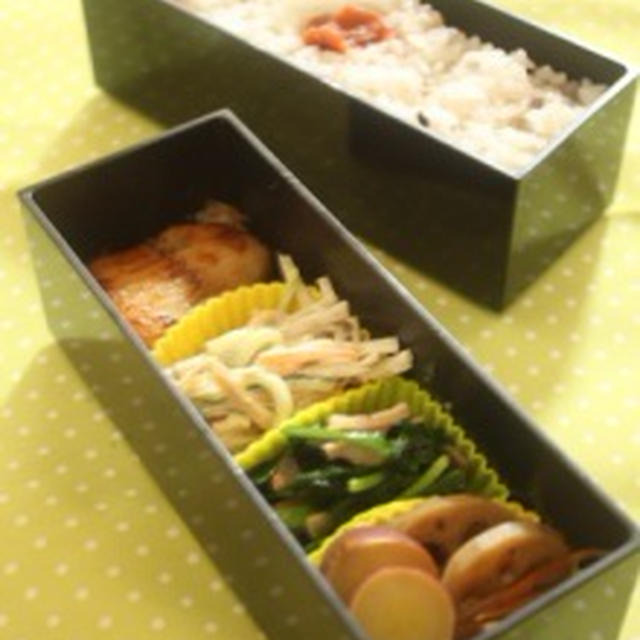 てっぱくへ＆今日のお弁当