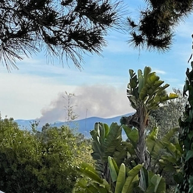 最近の南カリフォルニアと我が家の食卓