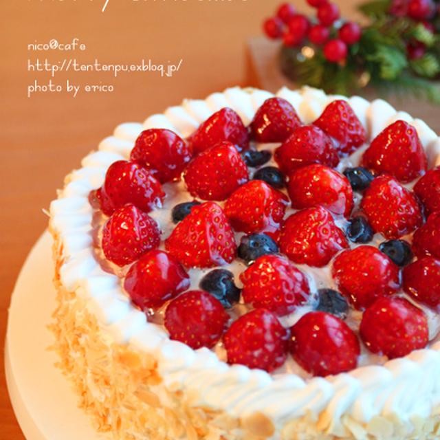 2009年クリスマスケーキ