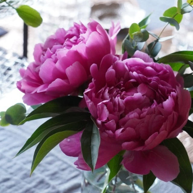 『立てば芍薬、座れば牡丹、歩く姿は百合の花』は生薬の使い方？
