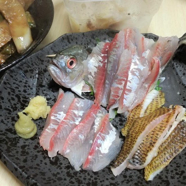旦那めし#99　チョウチョウウオの刺身と・・・