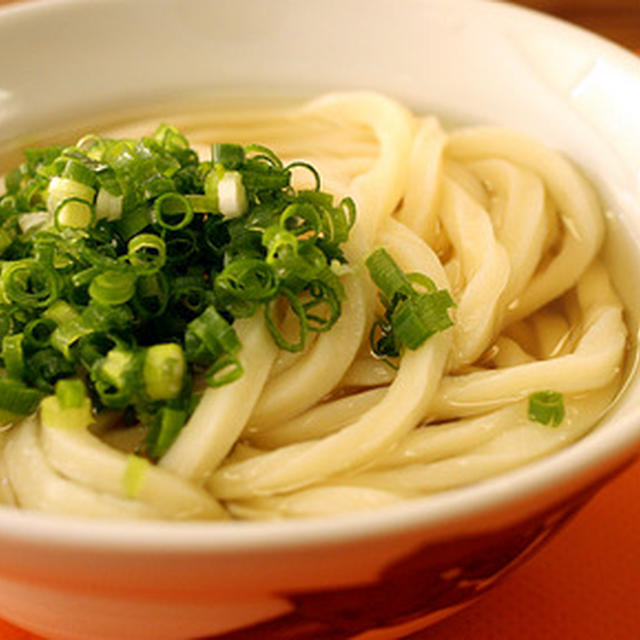 第１６回讃岐うどん巡り その２