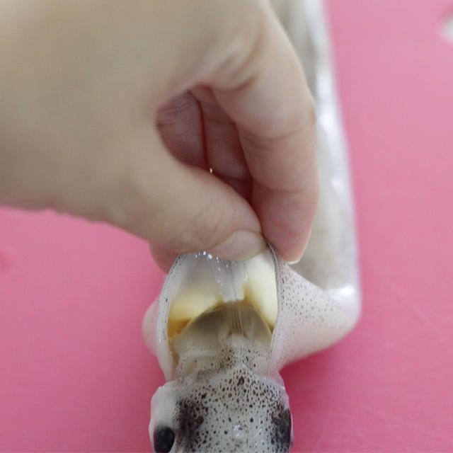 スルメイカの下処理方法