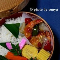 ◆酢海老弁当と、黄色い猫。