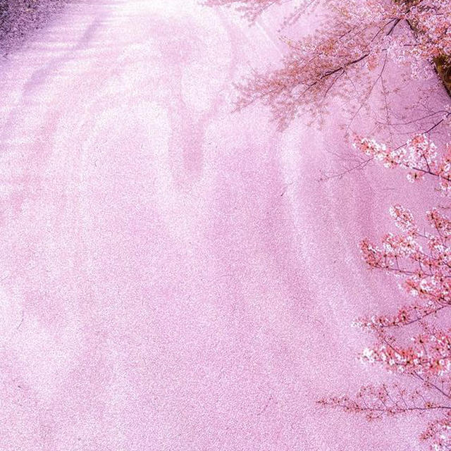 流れを大切にする♡