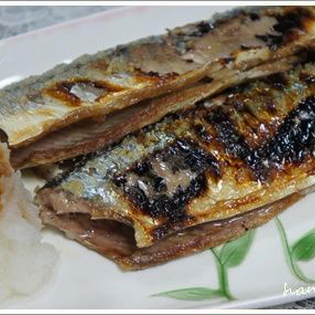 初サンマ！さんまのおいしい焼き方