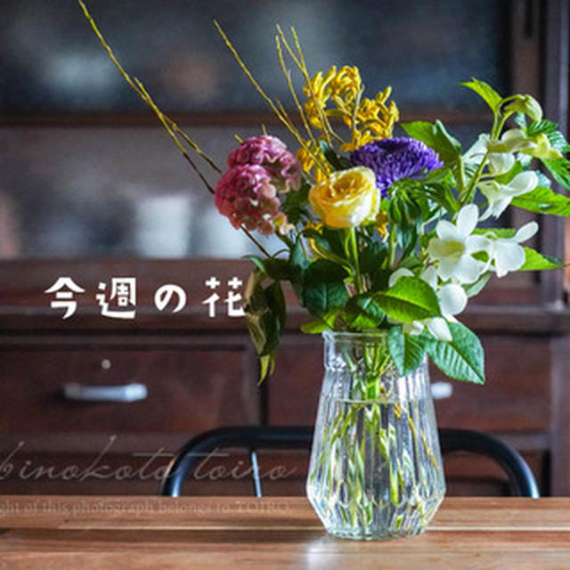 今週の花と、今日のおべんとう