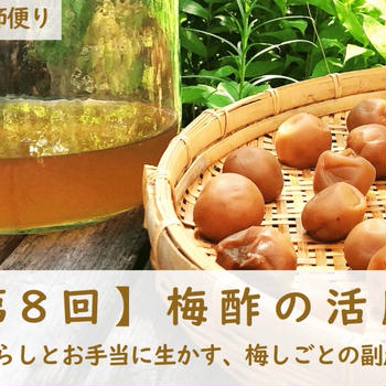 【第8回】梅酢の活用術