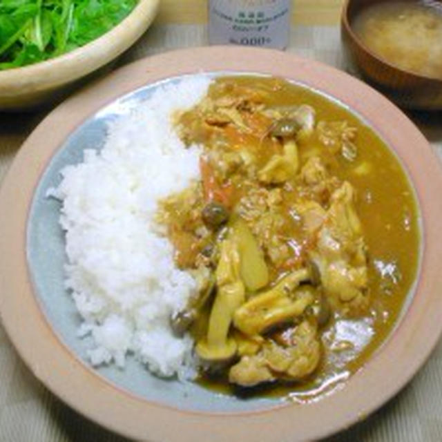 【時は満ち、お腹も満ちて、心を満たす】幸せのチキンカレー