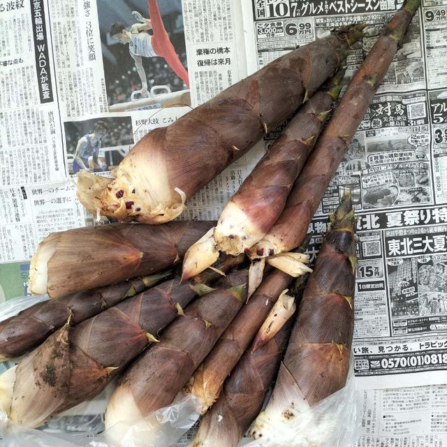 今採れタケノコを今剥き今茹で今食べた！