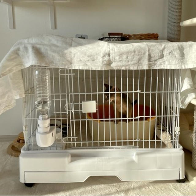 わか男の部屋