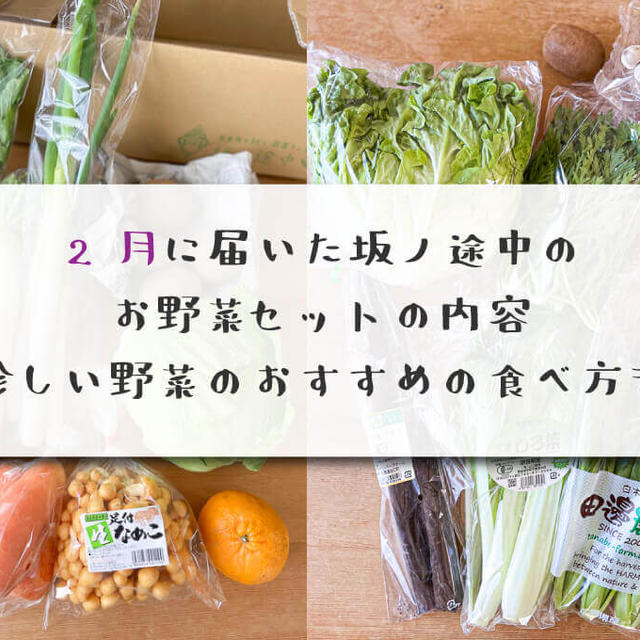 2月に届いた坂ノ途中のお野菜セットの内容【珍しい野菜のおすすめの食べ方も】