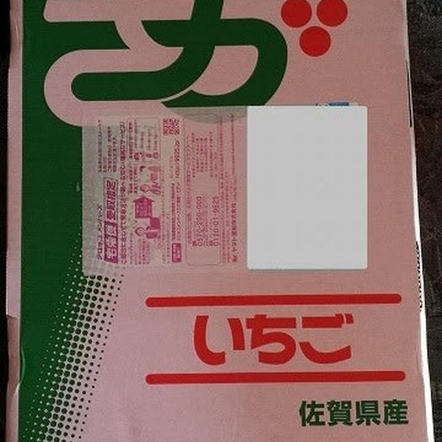 H30年度ふるさと納税 第6弾 佐賀県 武雄市 「佐賀の名産いちご さがほのか 8パック」