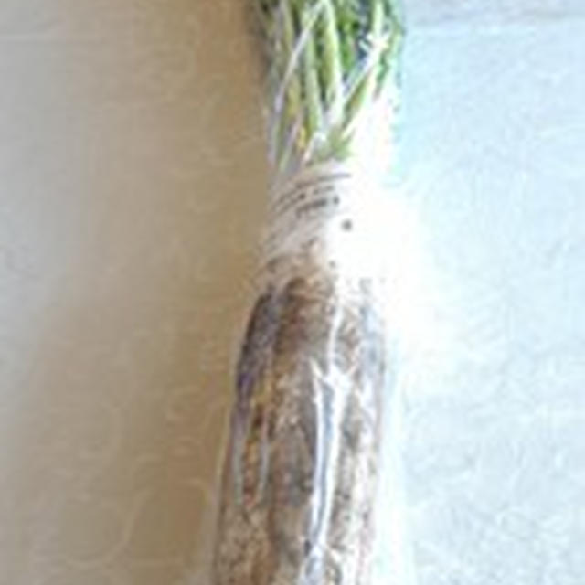 全部使ってコスパ抜群♪葉付き大根の利用法