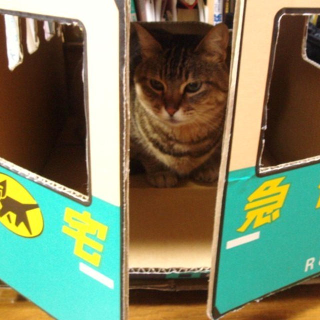 豚ロース味噌漬けのスモーク