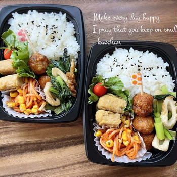 最近の娘と私弁当/我が家のにゃんこ