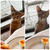 猫とモーニングセット