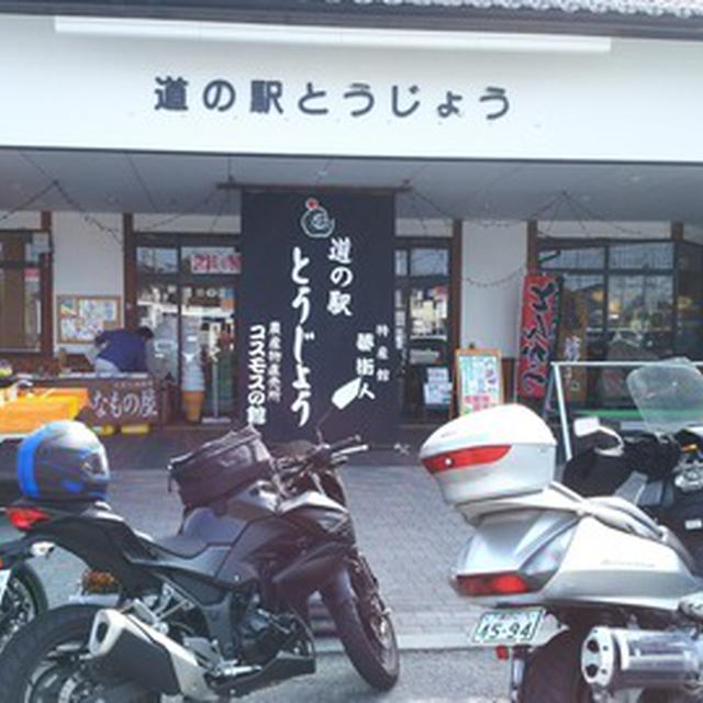 青垣　お花見ツーリング