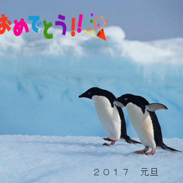 あけまして　おめでとう♪～♪
