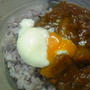 コールラビ☆黒米ごはん温たまカレー