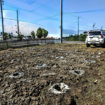 アラフィフ女　店舗兼住宅を建築中