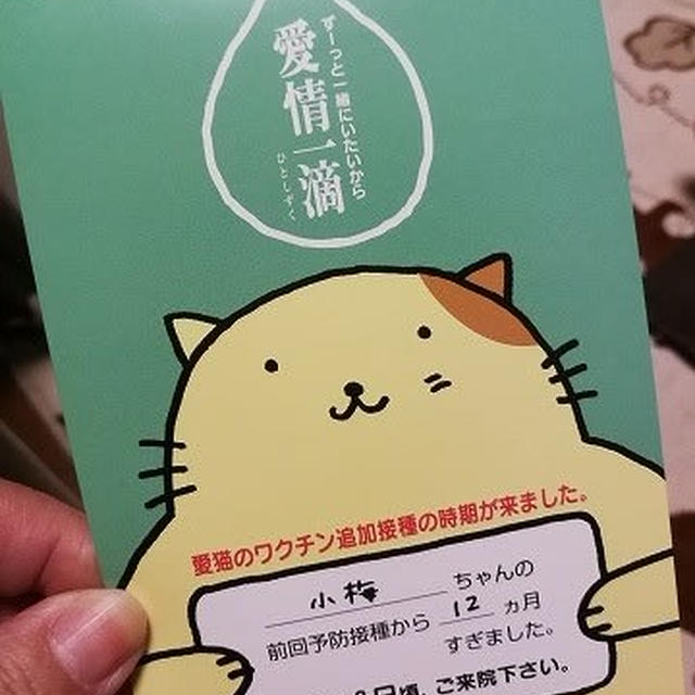 【小梅・さくら・桃之介通信】愛情一滴 / 桃之介の朝の食欲から考えたこと