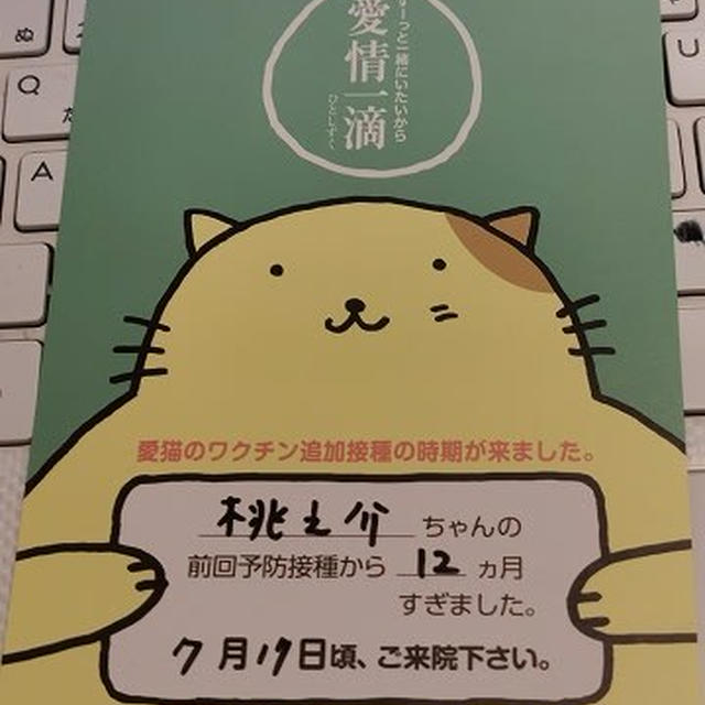ワクチン召喚状 / トップバッターは弟でした