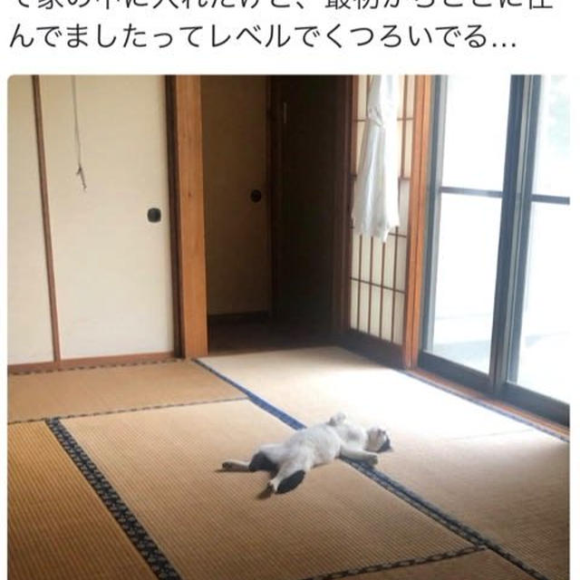 iPhoneふっかーつ！！！