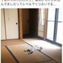 iPhoneふっかーつ！！！
