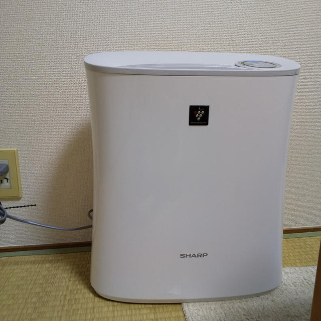 GOTOTRAVEL☆プラズマクラスターがやってきた