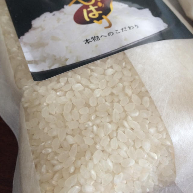 南魚沼産こしひかり「ひばり」を食す！！