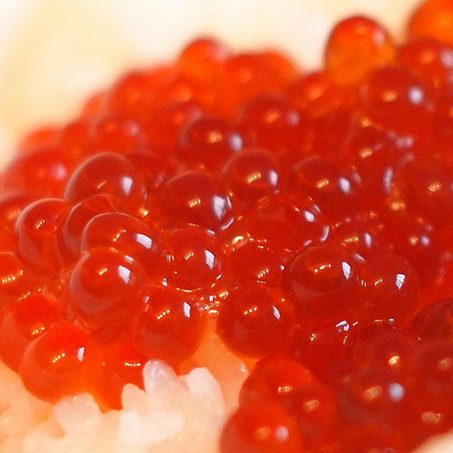 とろけるいくらと凝縮された旨味！-佐藤水産のいくら醤油漬-