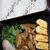 1月24日　　自家製豚味噌漬け肉の細切り炒め弁当