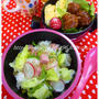 水菜とレタスのスパムサラダライス　肉団子　大葉とネギの出し巻き卵　飾りラディッシュ
