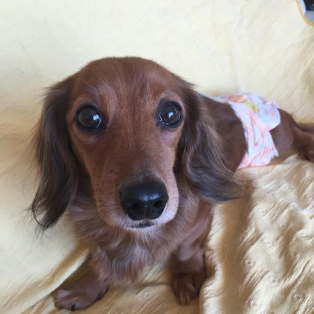 あらま、、、、