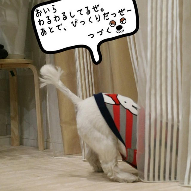 破壊王子