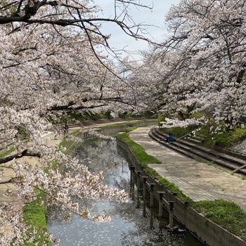 日々のかけら・4月