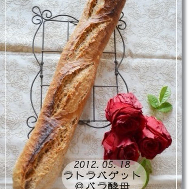 第44･45･46章　薔薇バゲ★元気な蜂蜜バラ酵母