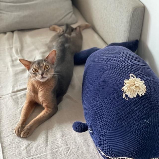 クジラさんとお揃いでち